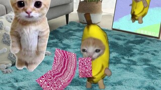 ตุ๊กตาหลี่เพิ่งเรียนรู้มายากลใหม่