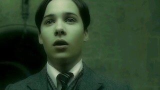 [Harry Potter] Lord Voldemort's Life