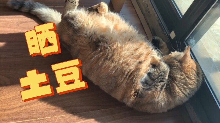 Sunshine & Joy: Moldy Potatoes