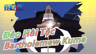 [Đảo Hải Tặc/Buồn] Bartholomew Kuma|Chúng tôi đã không còn gặp nhau nữa!