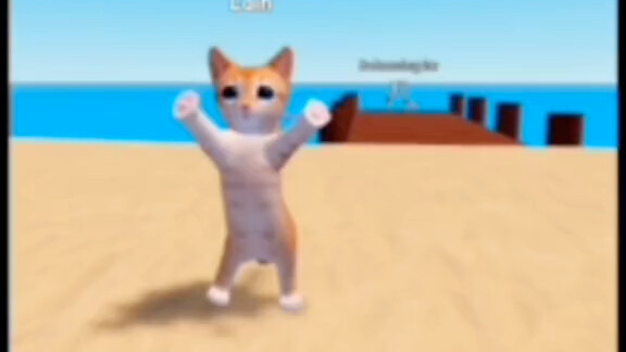 kucing-kucing konyol menari