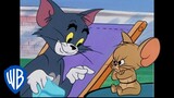 Tom y Jerry en Español 🇪🇸 | Año nuevo, los mismos problemas | WB Kids