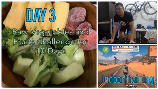 10 DAYS RAW PLANT BASED (VEGAN) CHALLENGE - DAY 3 (DEC 5, 2019)