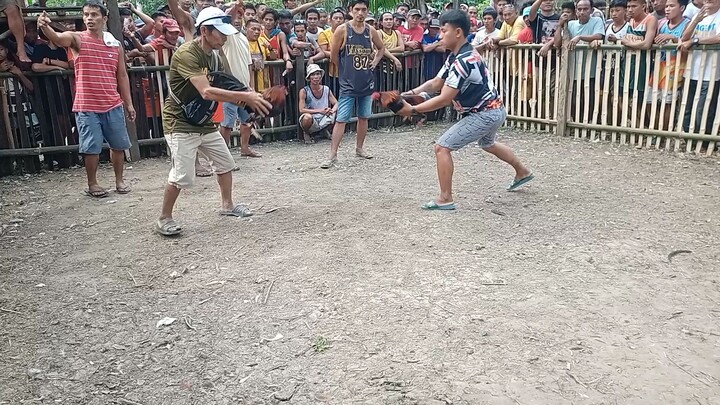 ulotan (win po tayu mga idol)