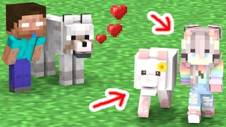 Monster School : WOLF vs BABY HEROBRINE - FUNNY STORY - Minecraft Animation