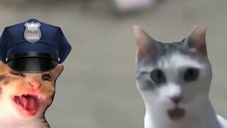 "Qingmu Fortune" #catemem #catmemestory #givewahuo # Genshin Impact