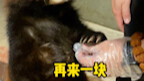 可是我是真的很好奇是什么味道呀