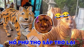 Tượng hổ Phú Thọ đang make up sắp trở lại - Top comments hài Face Book.