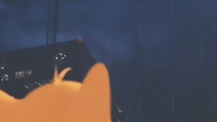 Tom and jerry animaton