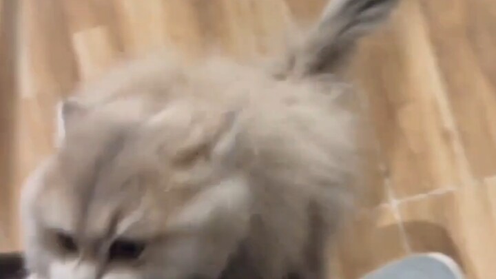 คนๆ นั้น, คุณกลับมาแล้วนะ หมีคิดถึงคุณจังเลย