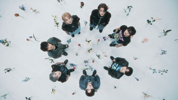 【NCT DREAM】Build a New Dreamscape