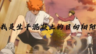 日向翔阳/生贺｜夏至已至 欣欣向荣