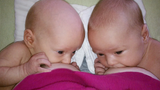 วิดีโอที่ดีที่สุดของทารกแฝดที่น่ารักและตลก - วิดีโอเด็กฝาแฝด พ่อคูล