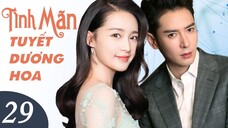 TÌNH MÃN TUYẾT DƯƠNG HOA - Tập 29