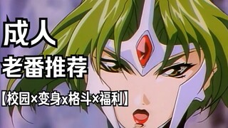 上世纪的成人动画，骨科兄妹合体战斗，少女变身又燃又肉，大张正己经典之做（超人学园）
