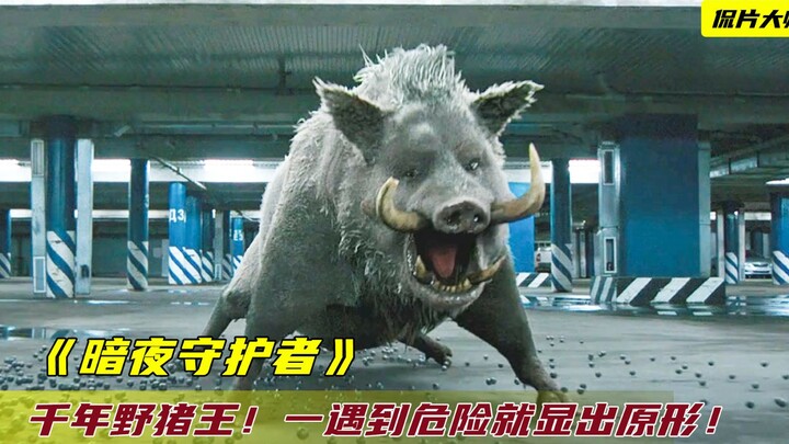 A man with a thousand-year-old wild boar bloodline transforms into a 3,000-jin wild boar whenever da
