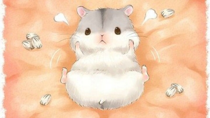 [เสียงผู้หญิง/หนูแฮมสเตอร์/ความน่ารัก] ปิ๊~ หนูแฮมสเตอร์ที่หล่อและน่ารักของคุณปรากฏตัวแล้ว~