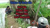 Mancing DI Selokan Tengah Sawah Ini Bikin Betah Broo, Banyak Jenis Ikan Disini