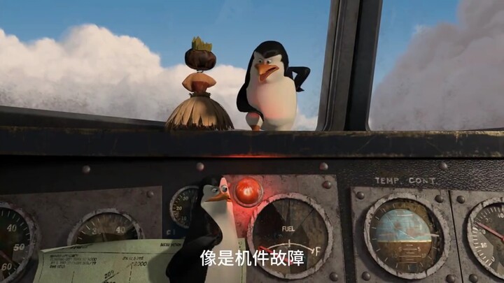 “เที่ยวบินของเพนกวินแอร์ไลน์ พวกคุณกล้าขึ้นไหม ฮ่าๆ”
