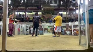 Nabadal..pakpak..ng manok ko sa pilahn..buti n lng nanalo pa din..