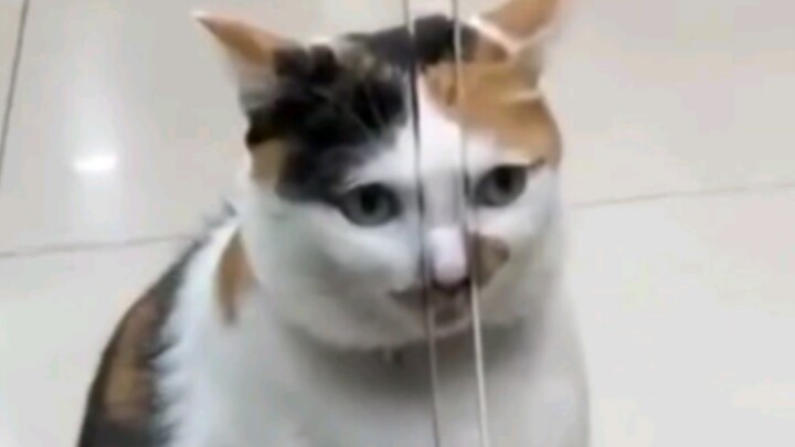 "Pinch out a high nose bridge"