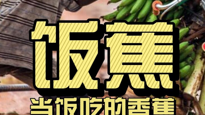 Bananas that can be eaten as a meal—meal bananas