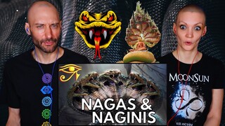 Nagini and Naga Explained | Mythology REACTION