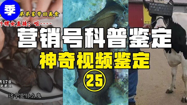 [Hot Fact Check] Are Cantonese people really being falsely accused of eating cockroaches? Did a hype