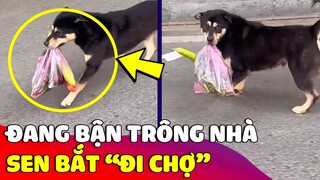 Bắt gặp chú Chó 'ĐI CHỢ' về nấu cơm cho Sen ăn khiến ai nấy cười xỉu 😅  Gâu Đần