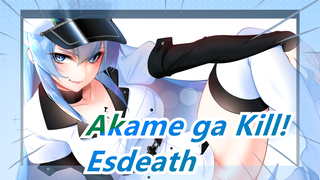 [Akame ga Kill!] Esdeath --- Aku Tak Bisa Mengalihkan Perhatianku Darinya