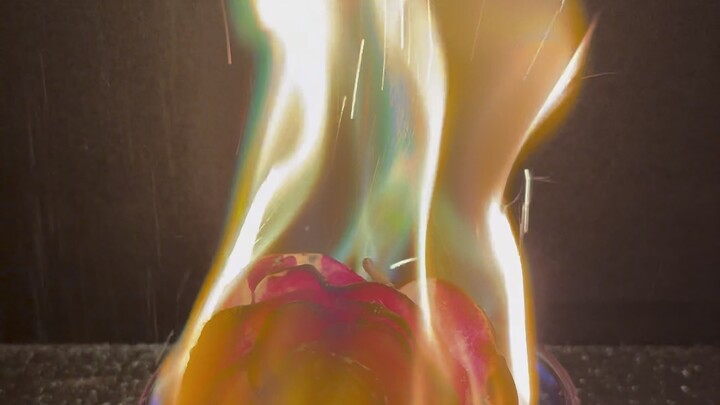 Tình yêu giống như một bông hồng: dù giả tạo, vẫn có thể nở rộ.