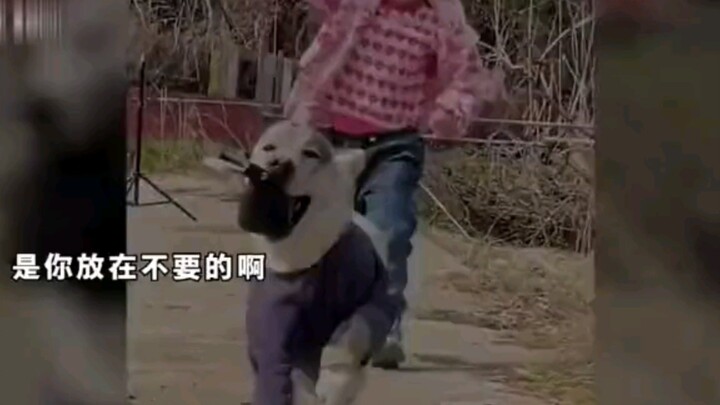 ความขยันประหยัดคือสิ่งสำคัญอันดับหนึ่งในการดูแลบ้าน ถ้าขาดมันไป บ้านนี้คงอยู่รอดได้ยากมากเลย