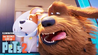 The Secret Life Of Pets 2 - Watch Full Movie : Link In Description