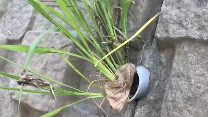 Terkadang, kedalaman kehidupan itu tak bisa kita bayangkan.