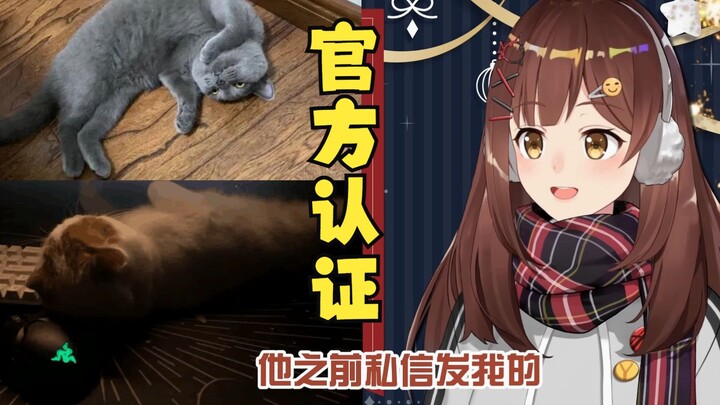 ppgod7mi家的猫很可爱【七海nana7mi】