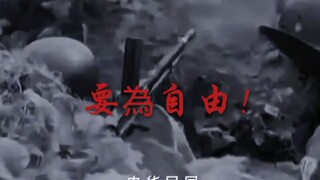 Strawberry Soldiers vs. German-equipped Division