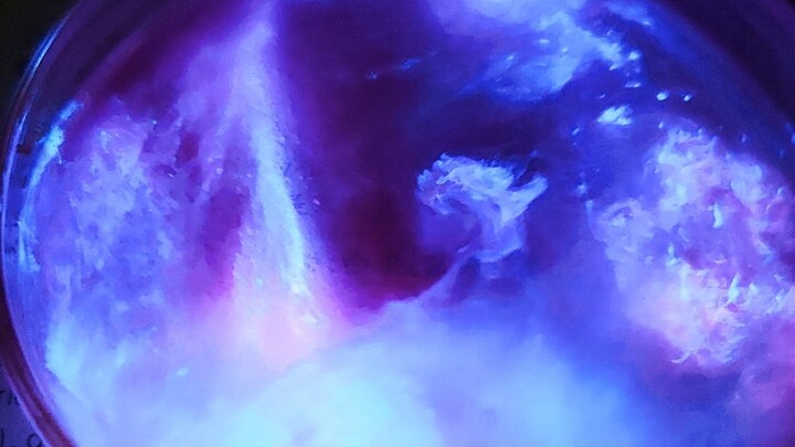 和你一起摇星星⭐️