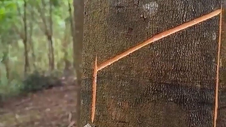 Immersive tapping, a stress-free tapping process
