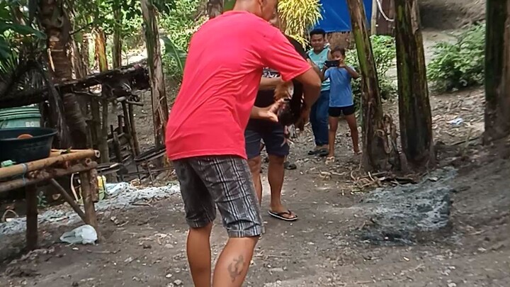 kasiyahan..