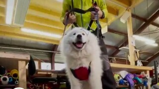 Purely envious, this guy is even braver than me… #EntertainmentReviews