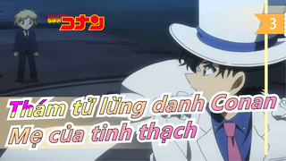 Thám tử lừng danh Conan|[OVA4] Conan, mẹ và con của tinh thạch_D