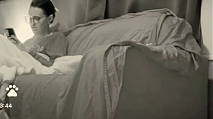 Mèo: Ngay bây giờ mày phải xin lỗi, lập tức! Ngay bây giờ!