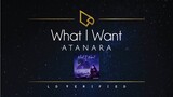 Atanara | What I Want (Lyric Video)