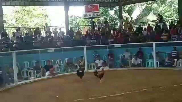 first fight win                              #mabinibohol