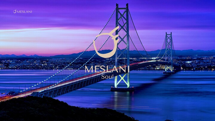Meslani - Soul | Afro Tech House