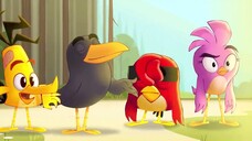 Angry Birds: Quậy tưng mùa hè EP 13 [Sub Việt]