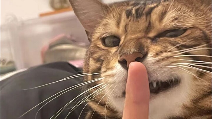 “Chỉ là xui xẻo một chút thôi”
