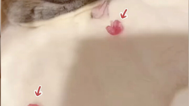 She’s never had a baby before—neither have I!