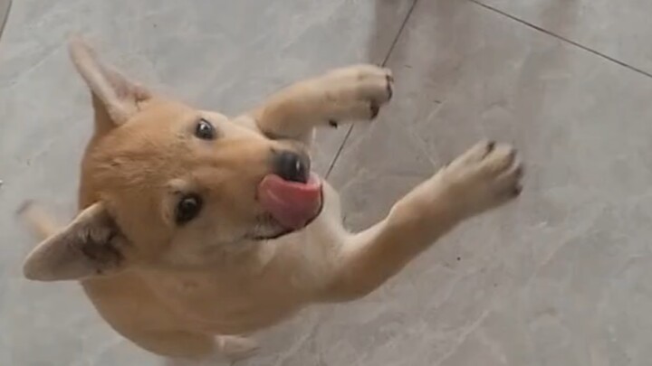 Another Peaceful Day