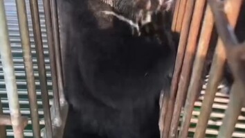 อย่ามองว่าเขาเป็นคนน่าสงสาร